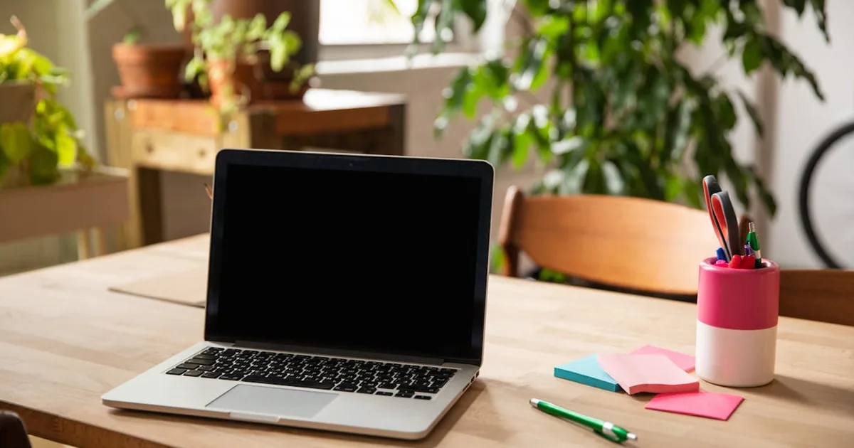 Curso de Google Sheets en Skillshare (Intermedio)